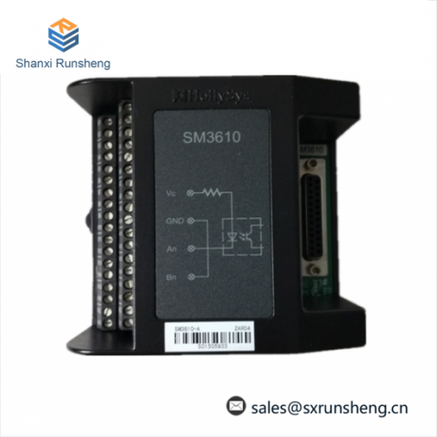HOLLYSYS FM161D-48: High-Performance Switch Input Module for Industrial Automation