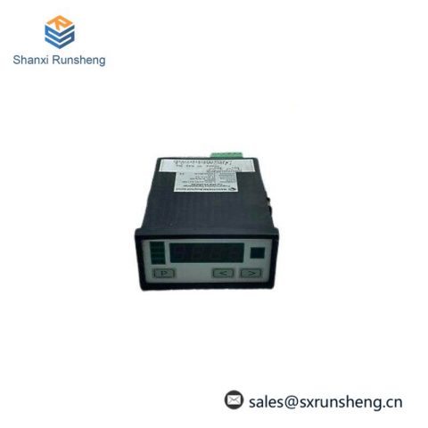 Negele Prozessoren-Anzeige DPM-GS-2GW-S Digital Display - High Precision Measurement & Control