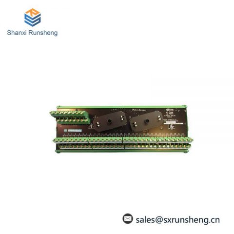 SIEMENS 16169-1-07 Analog Input Output Module