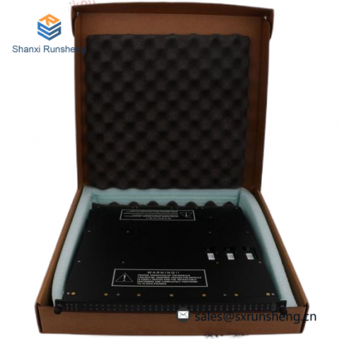 TRICONEX 9562-810 Industrial Control Module