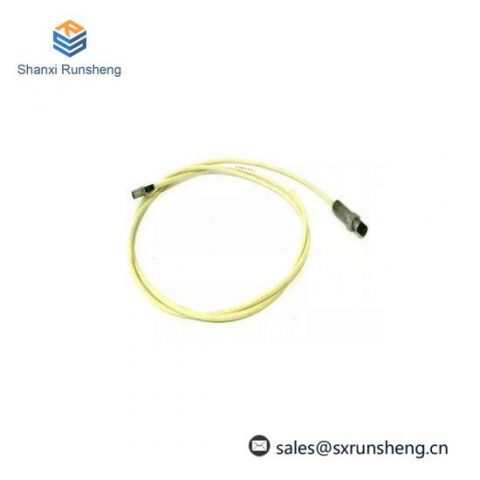 BENTLY 10244-27-50-01 Vibration Monitoring Module