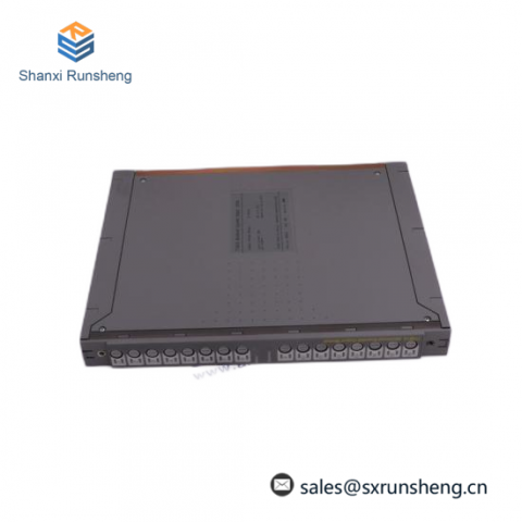 ICS TRIPLEX PLC T8431C - High-Performance Analog Input Module