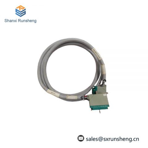 TRICONEX 4000093-310 Extended Product Type: PLC