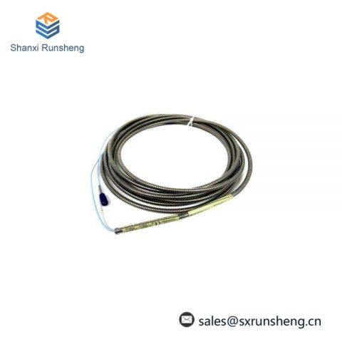 Bently Nevada 330930-065-00-CN, NSv Extension Cable