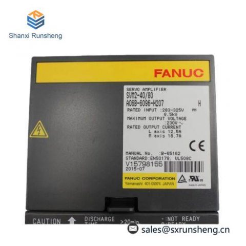 Fanuc A06B-6096-H207 GE Servo Module